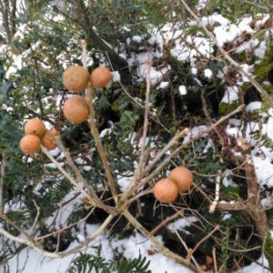 IMG_20180302_164250